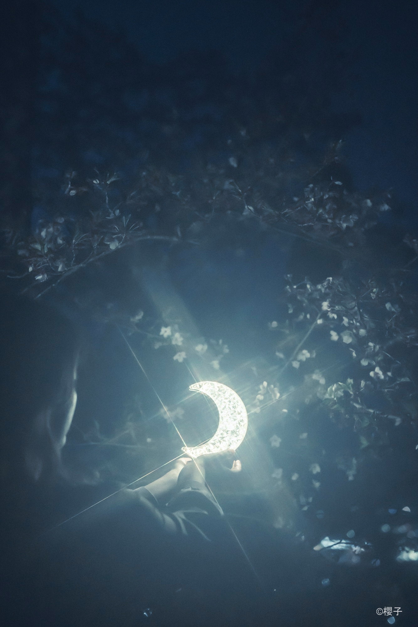 With Kenko PRO1D R-Natural Cross (night scene)