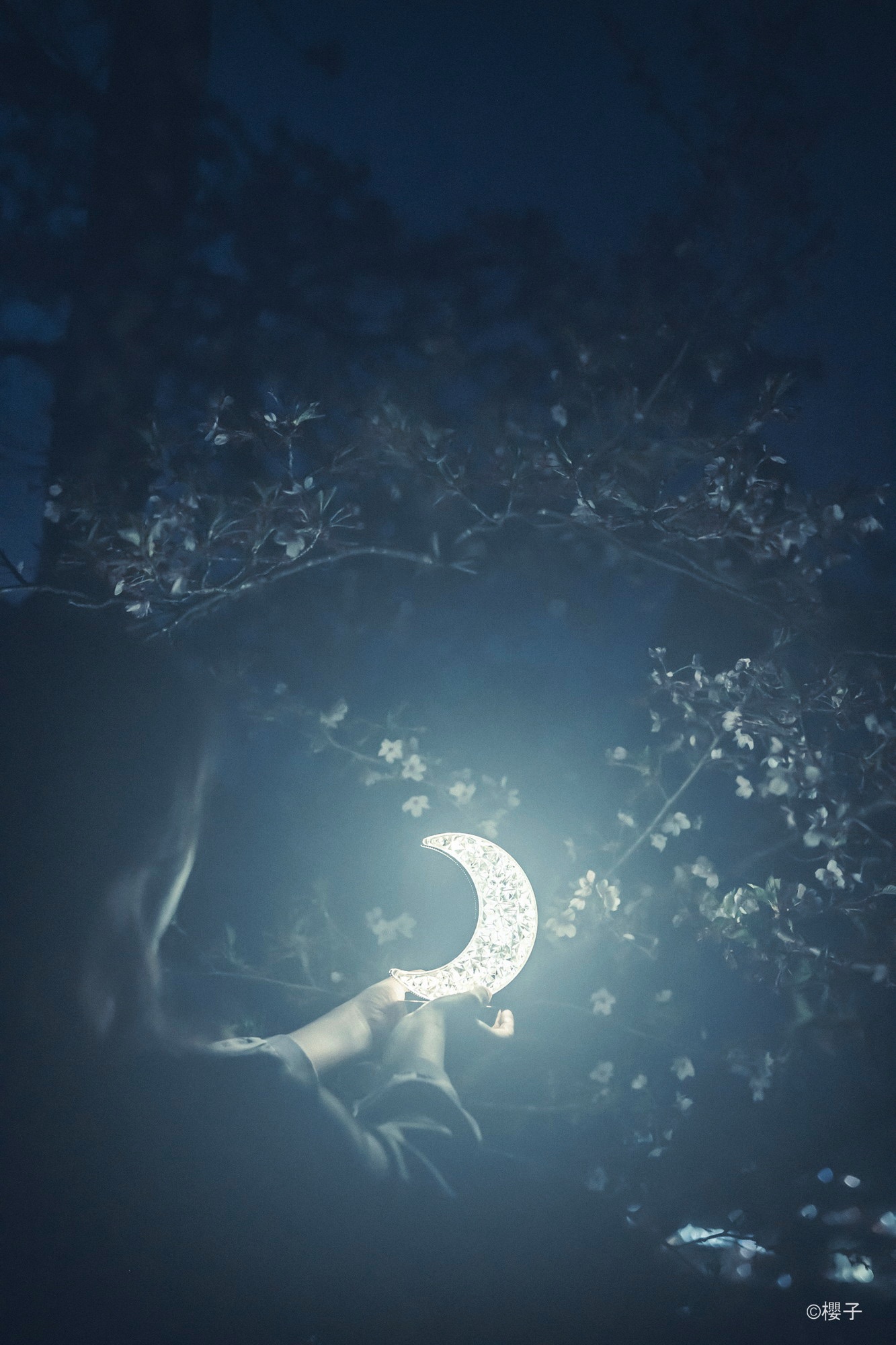 Without filter（Night Scene）