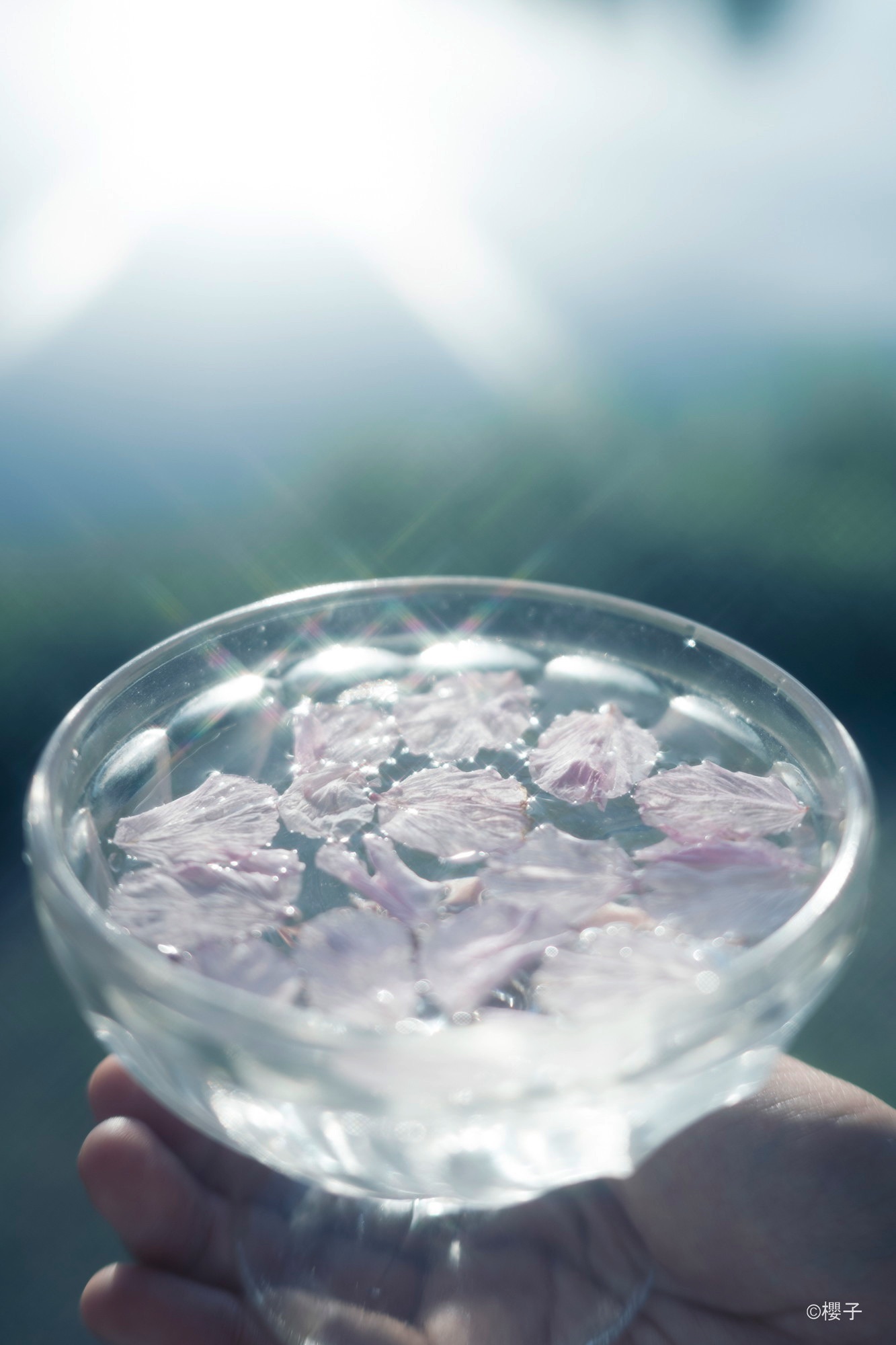 With Kenko PRO1D R-Natural Cross（Petals and a Glass Bowl）