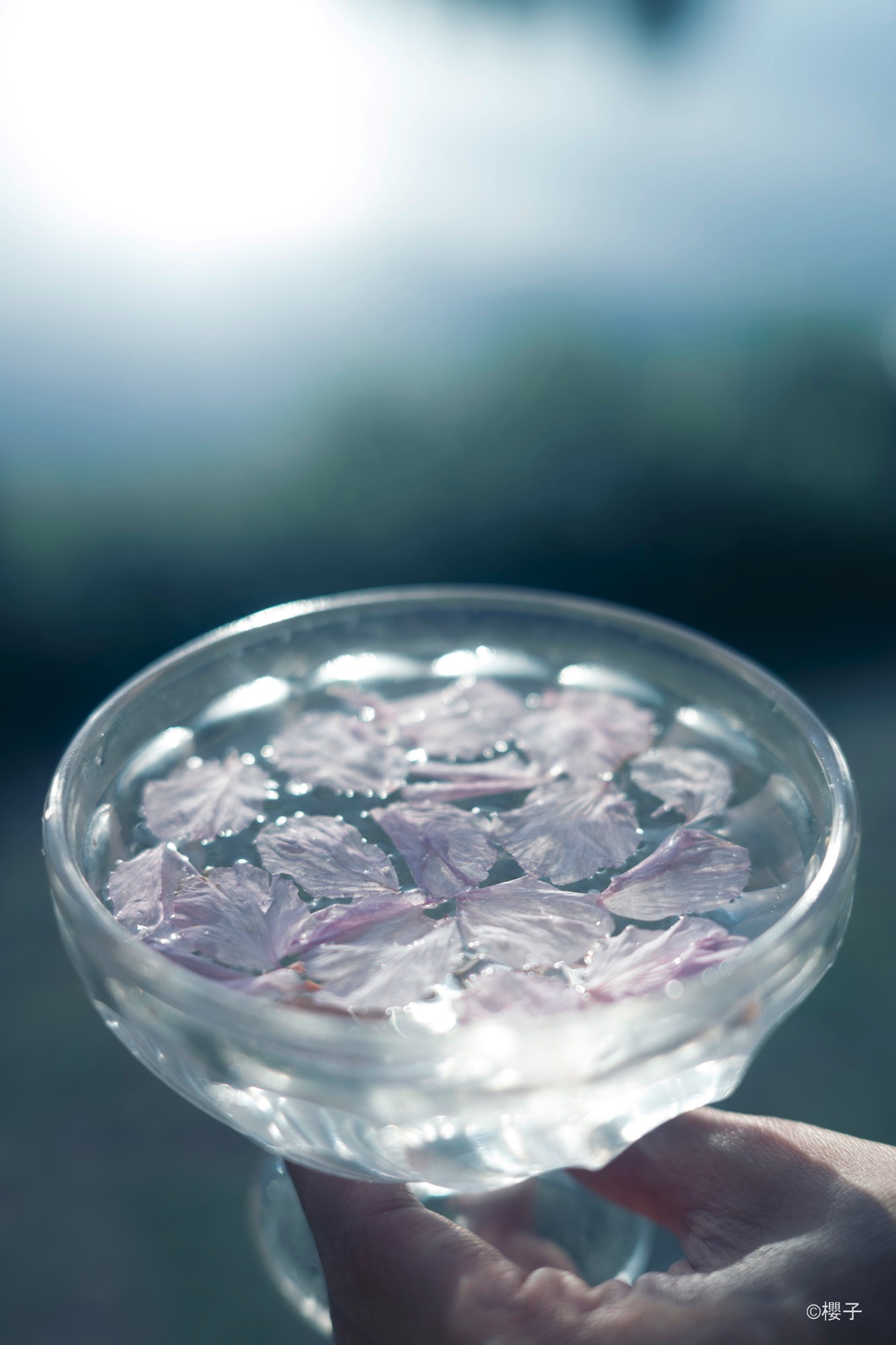 Without Filter（Petals and a Glass Bowl）