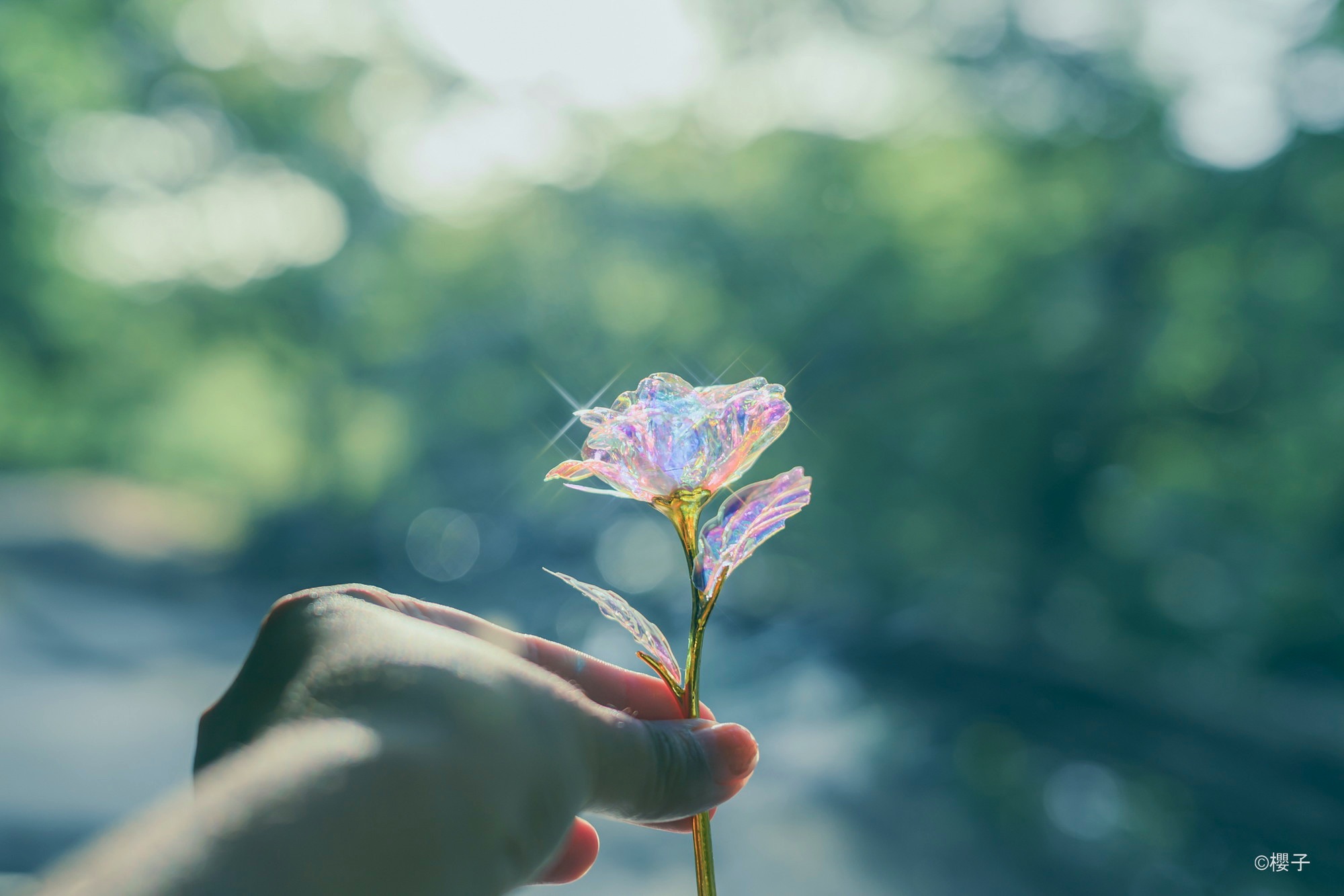 Example photo of glass flowers taken with a Natural Cross Filter