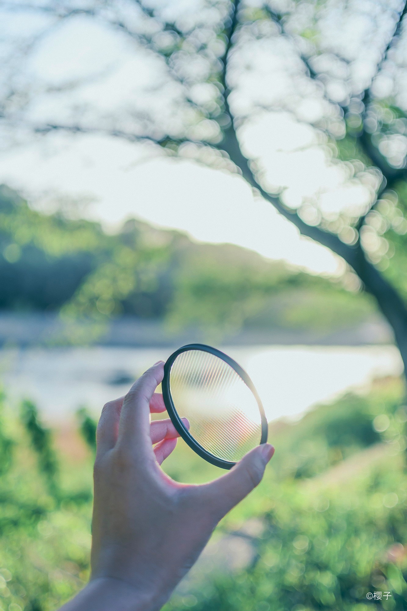 Holding PRO1D R - natural cross filter