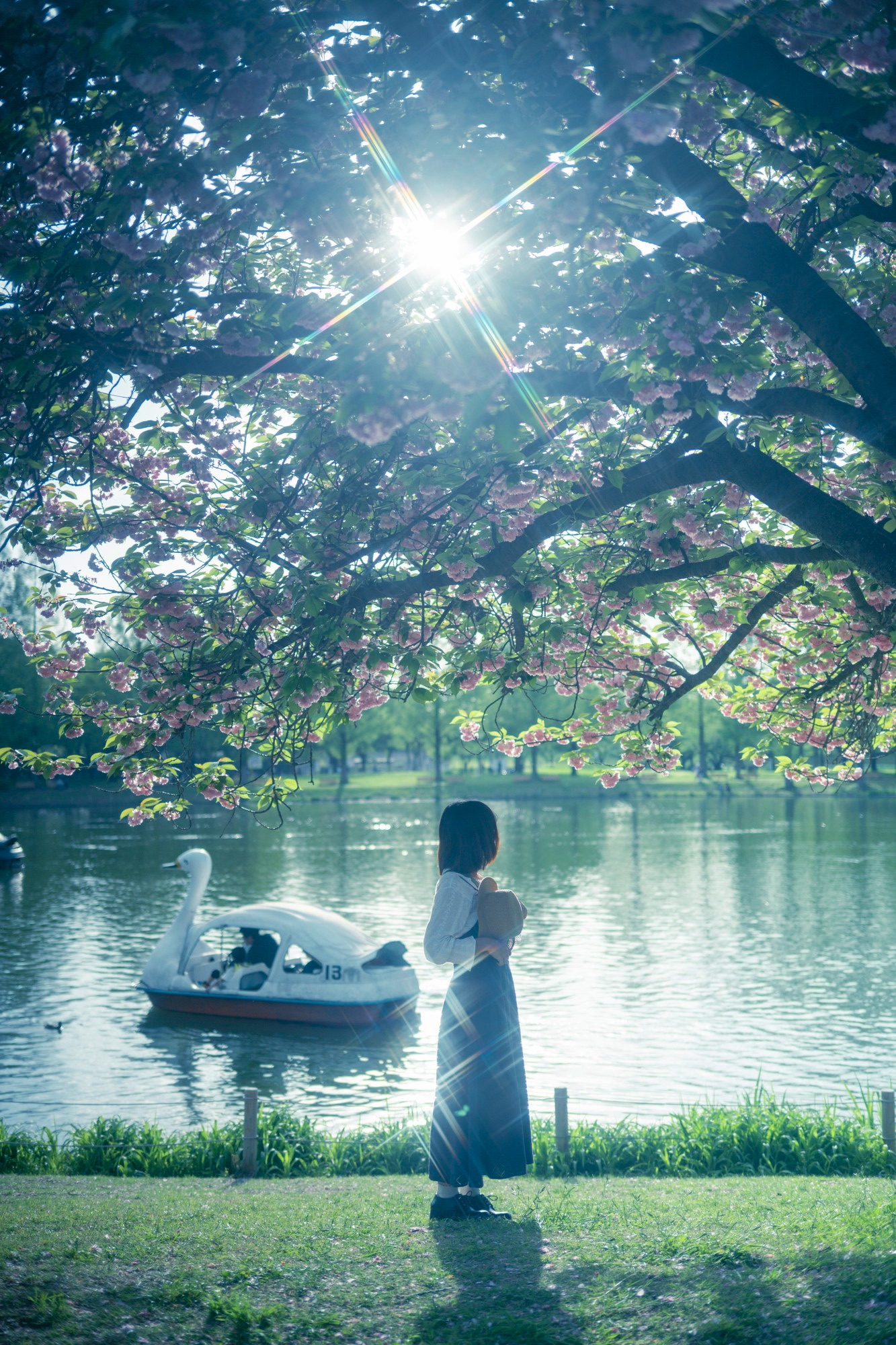 Sample photos of cherry blossoms and a lake taken with Natural Cross
