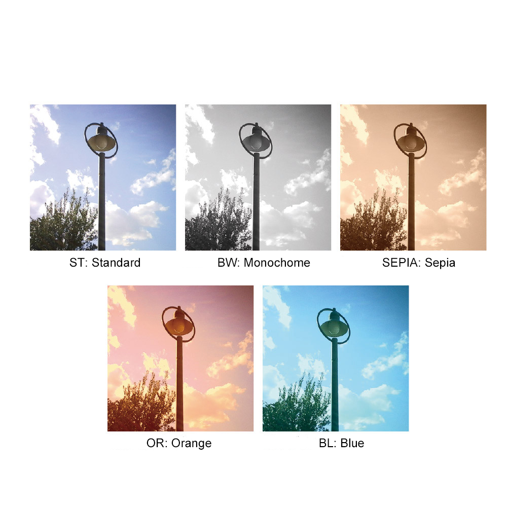 Color Filters