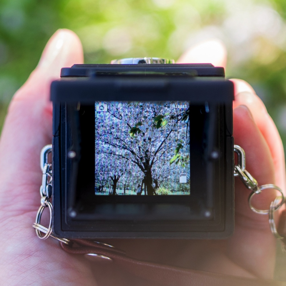 Top-Down LCD Monitor Viewing