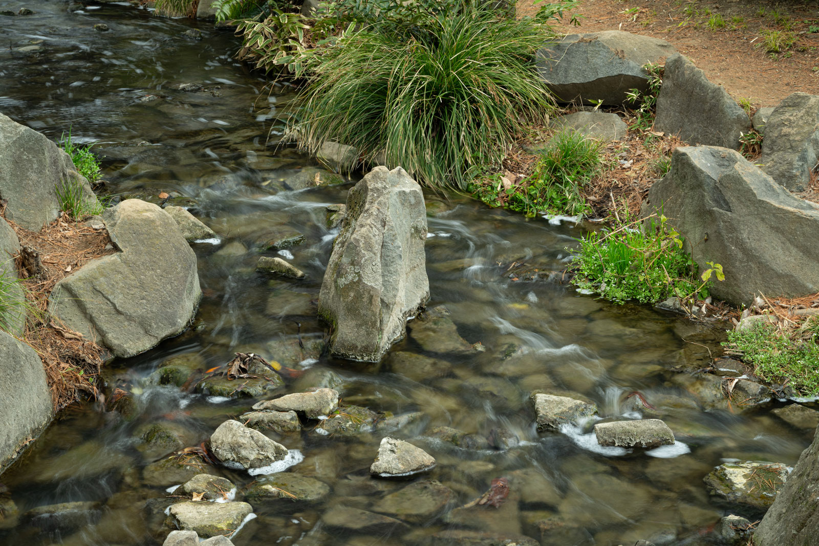 With Kenko SMART II C-PL