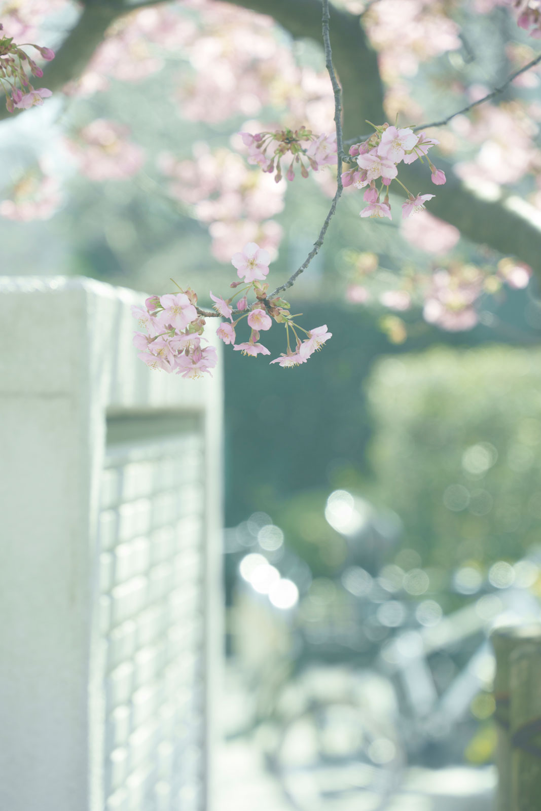 With Kenko NOSTALTONE GREEN filter