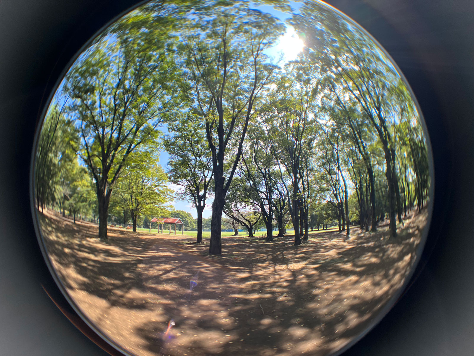 With EXAPRO Clip Lens Fisheye