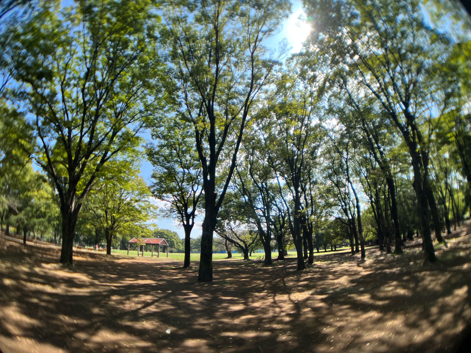 With EXAPRO Clip Lens Super Wide