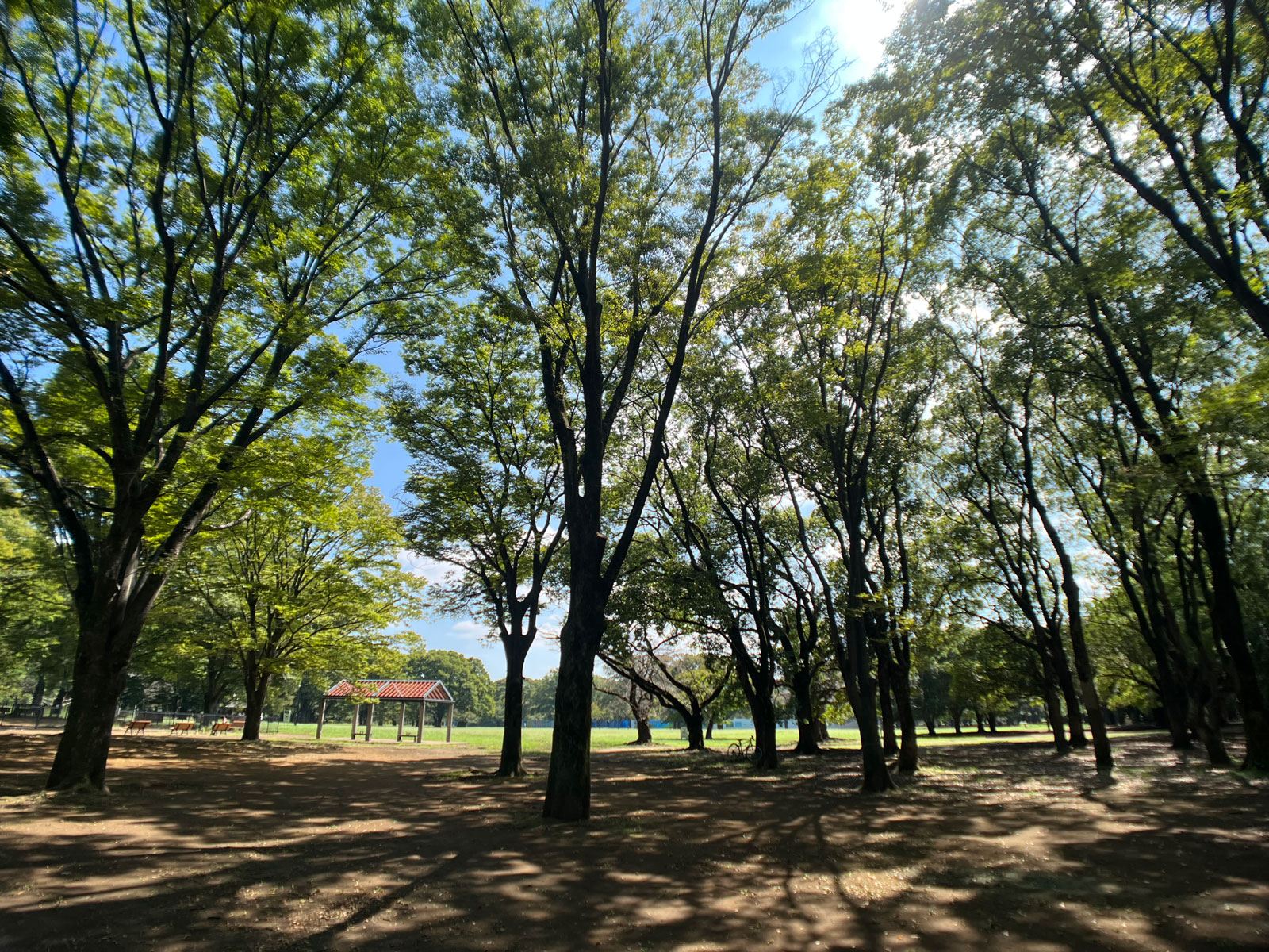 With EXAPRO Clip Lens Wide