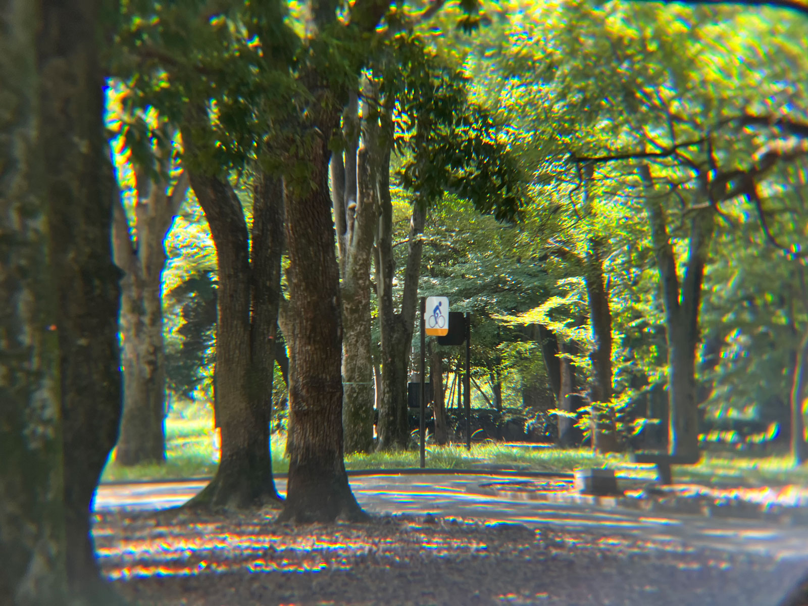 With EXAPRO Clip Lens 8x Telephoto