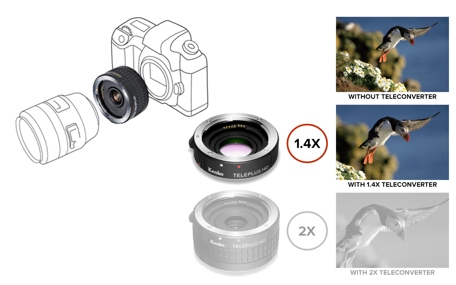 Teleconverter HD DGX 1.4x - Kenko Filters Canon & Nikon