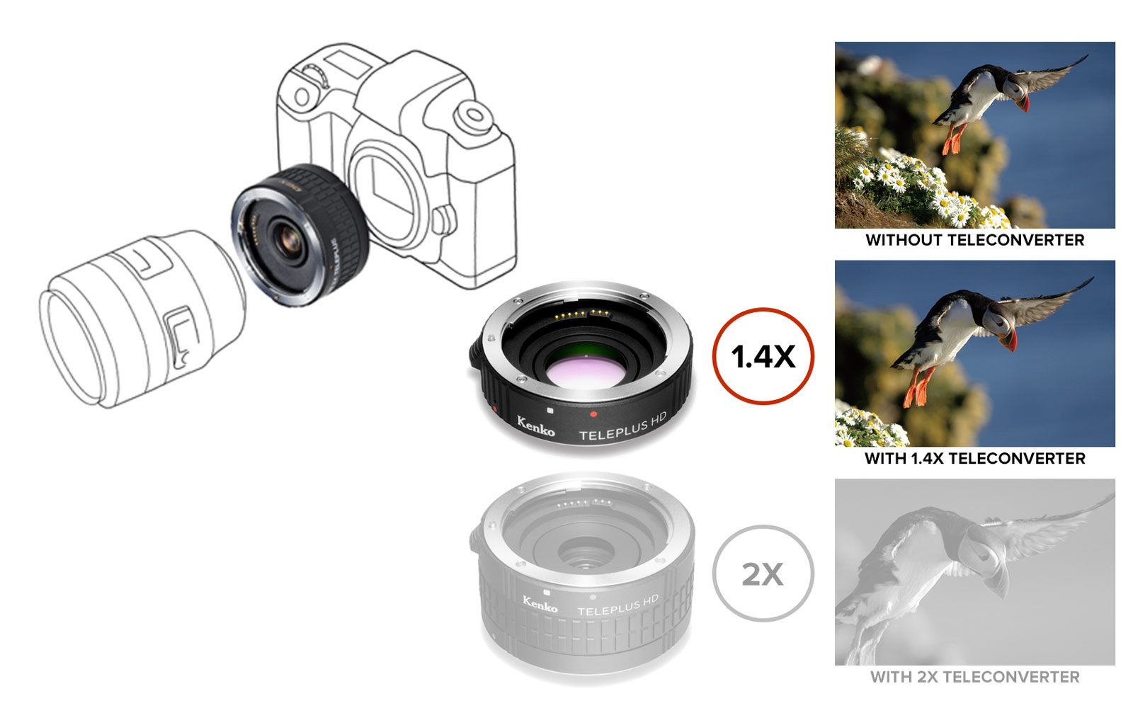 Kenko Teleconverter Compatibility Chart