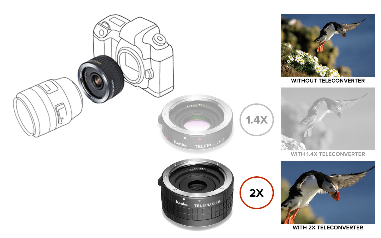 KENKO HD DGX x2 Doubleur compatible avec Nikon AF-S - Kenko pas cher