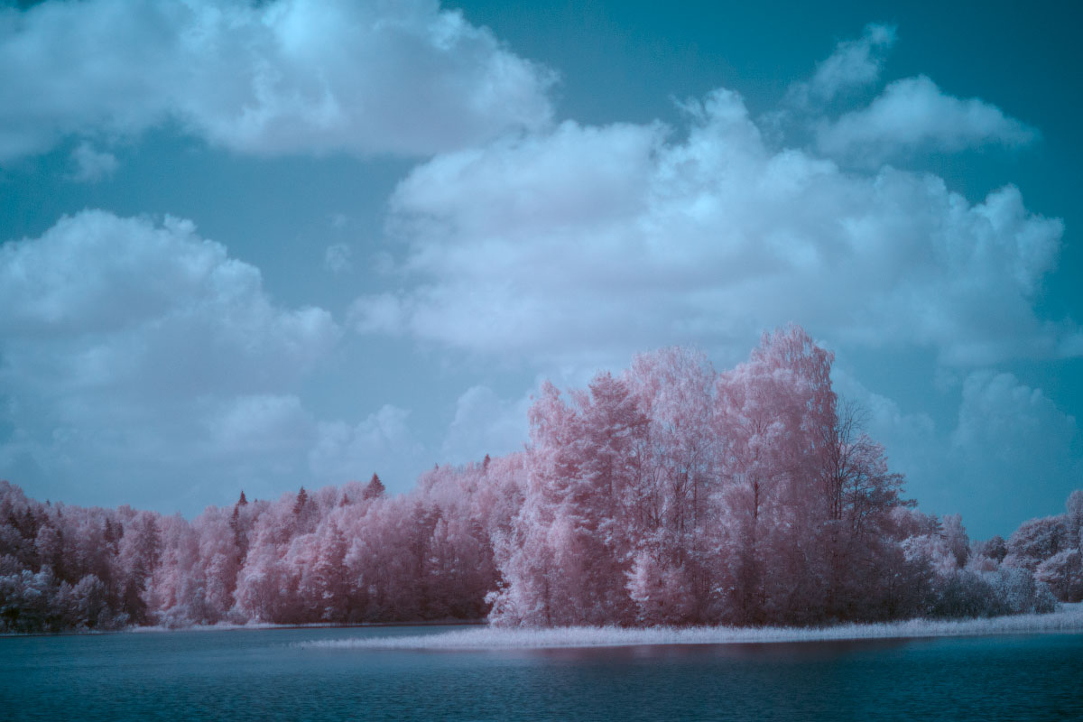 IR-image after adjusting levels