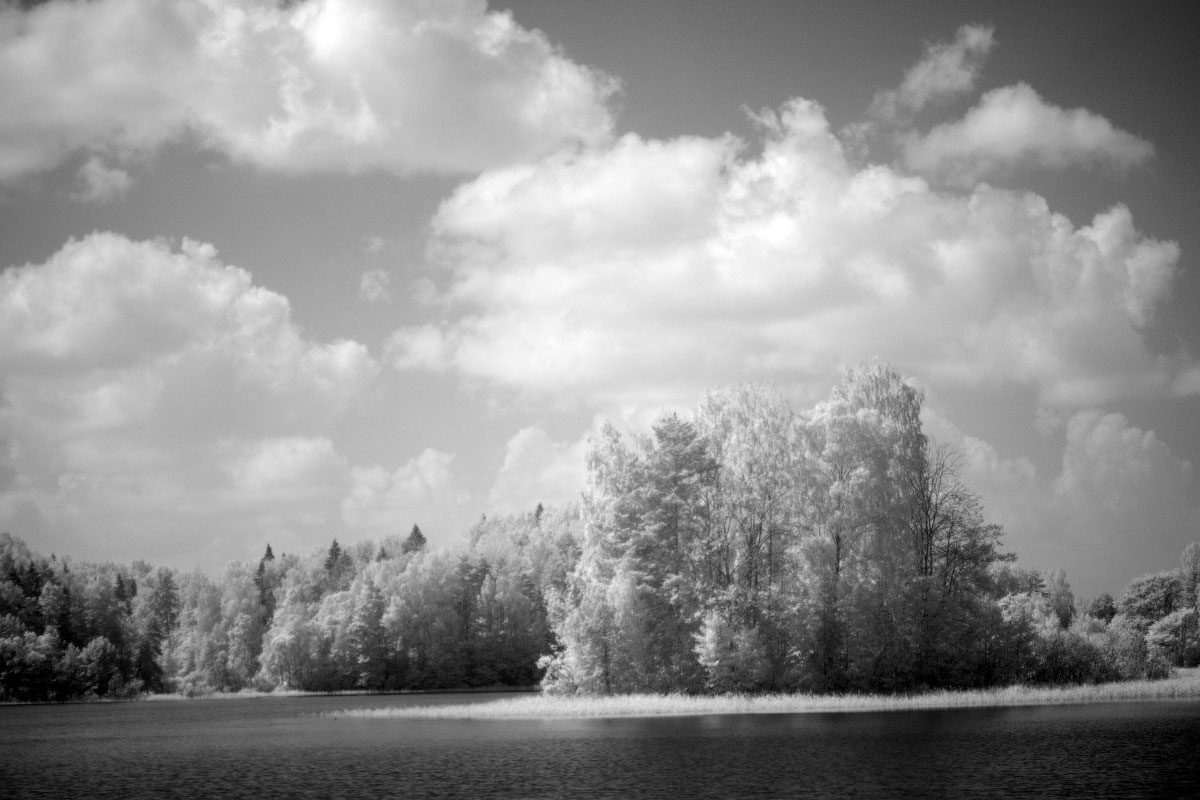 IR-image after deep processing (b&w version)