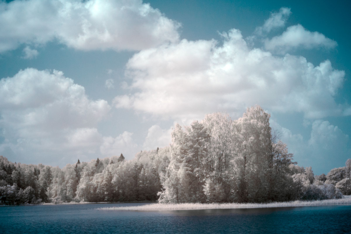 IR-image after deep processing (colored version)