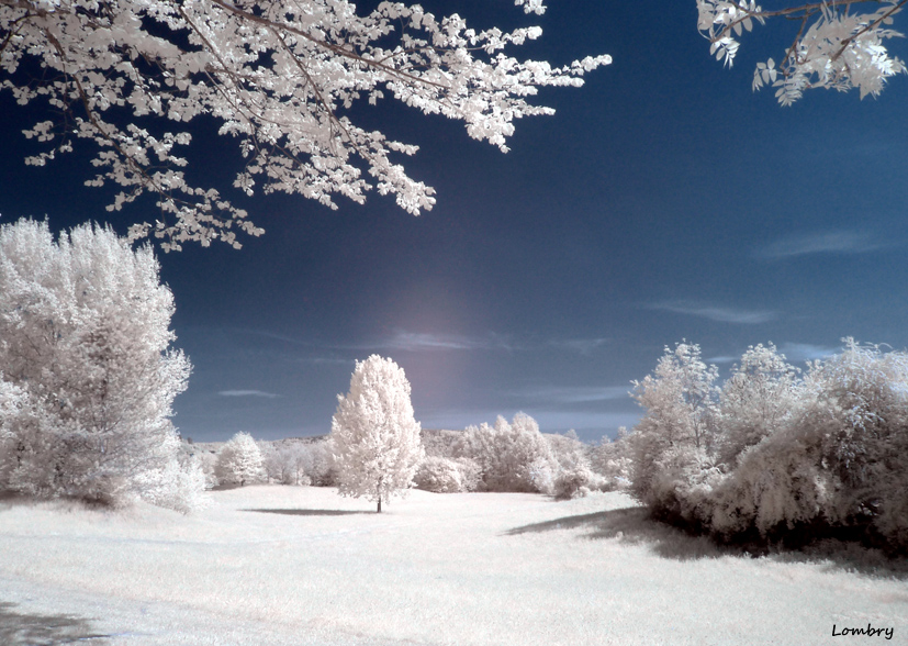 The sample of unsuitable lens for IR-photography (hot spot)