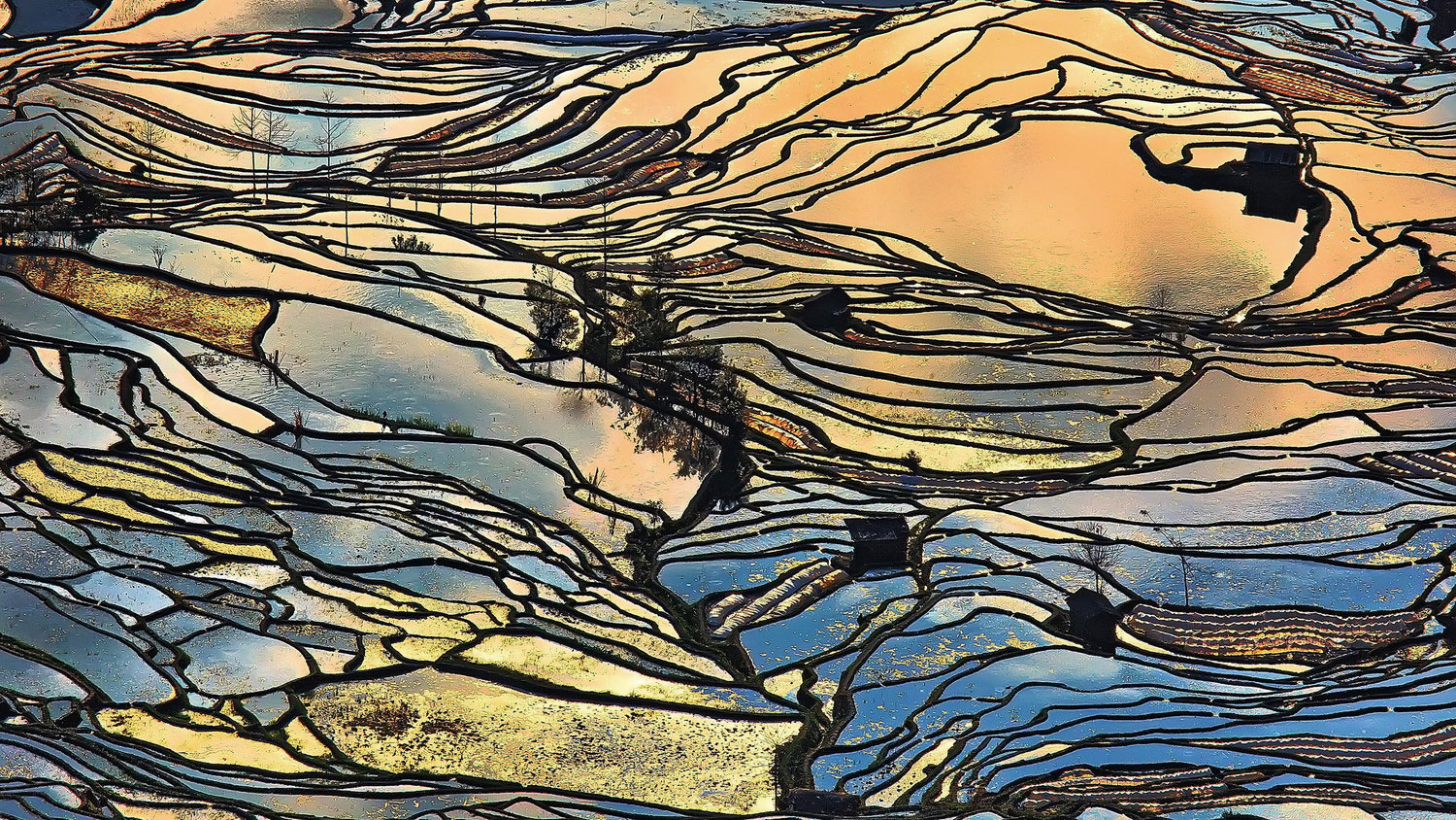 "Rice field" by Tang Pui Yee using PL filter