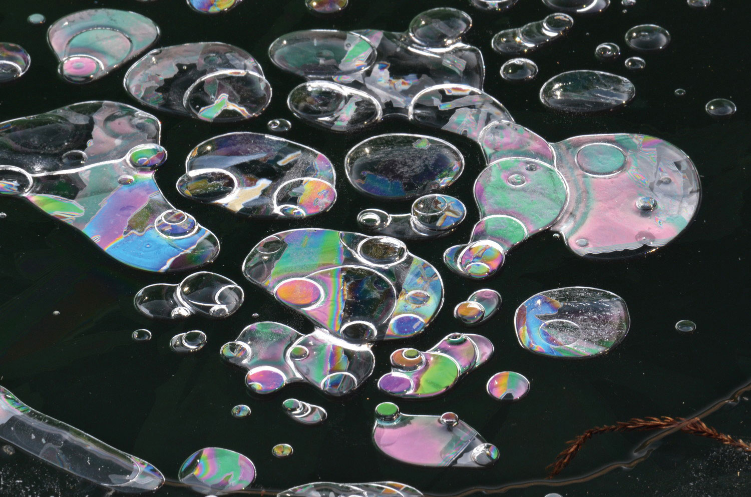 "Jigsaw bubble" by Kanai Kouju PL filter used