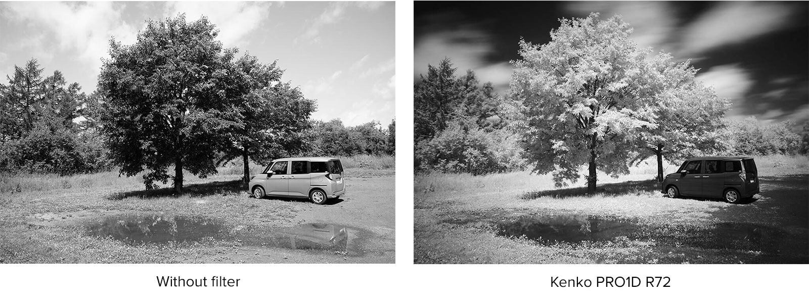 Combining infrared-reflective subjects such as foliage with darker elements like sky or water creates the strong contrast characteristic of infrared photography.